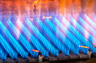 Leamside gas fired boilers